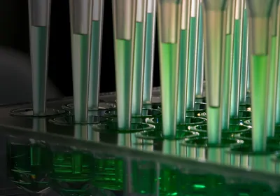 40422-lt-highqualityscreening-800x560